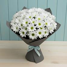 Букет цветов из:  Хризантемы #REPLACE_PRED# Синдор